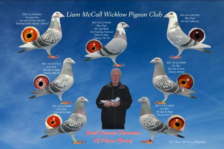 mccallmontage IN 03 08 21