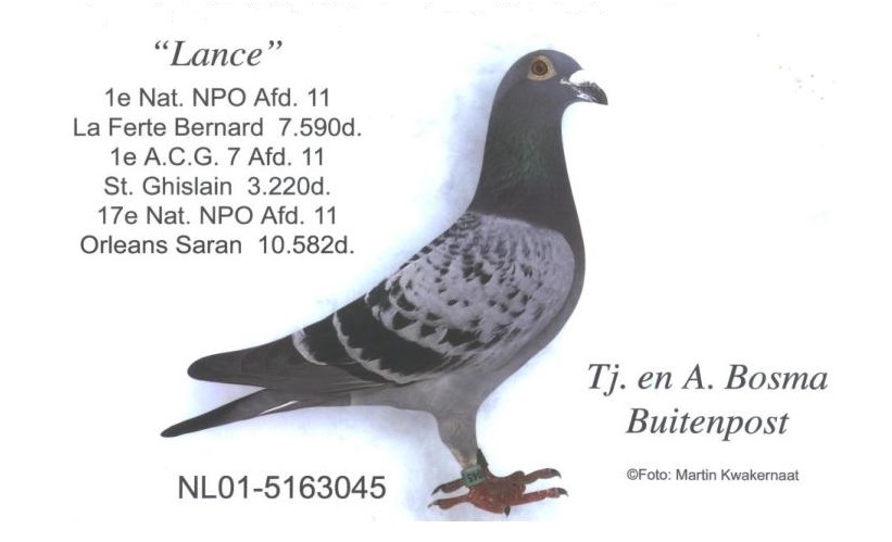 Lance