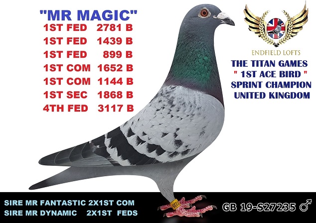 MR MAGIC
