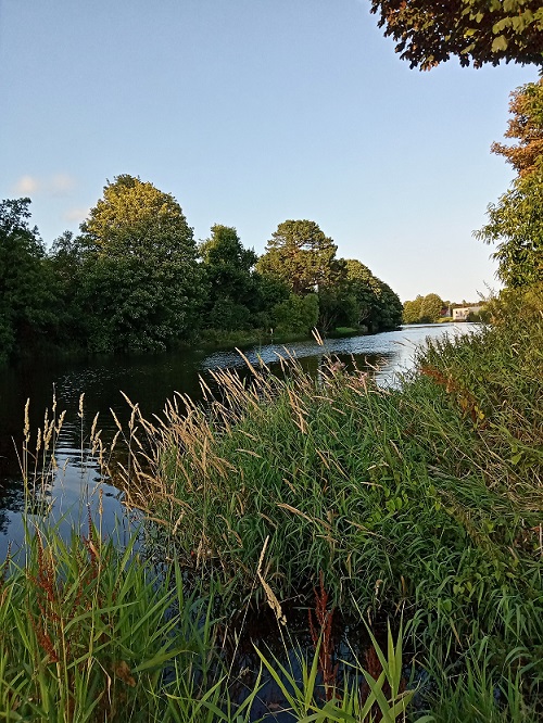 The beautiful River Lee in all its glory. 19 10 21