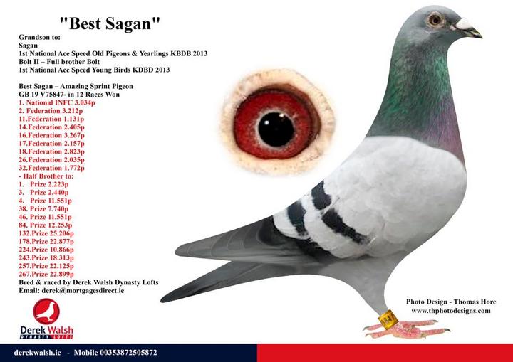 bestsagan 12 10 21