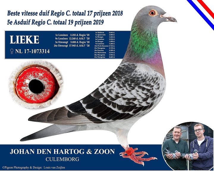 lieke