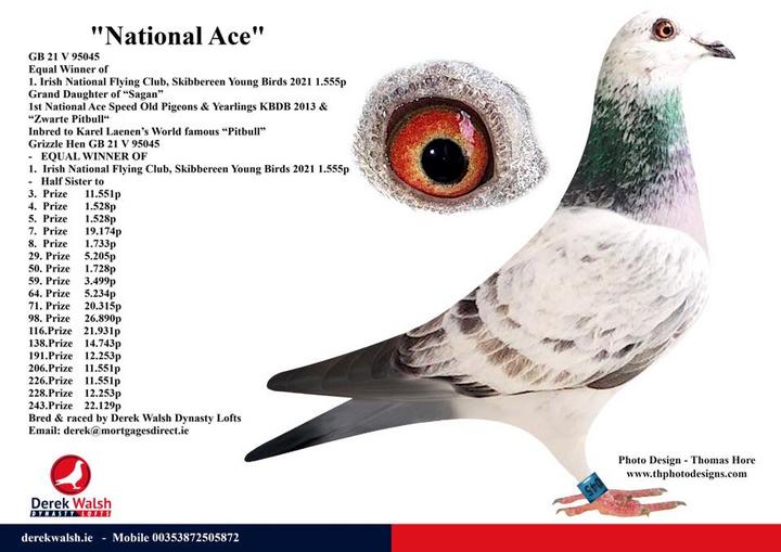 national ace 12 10 21