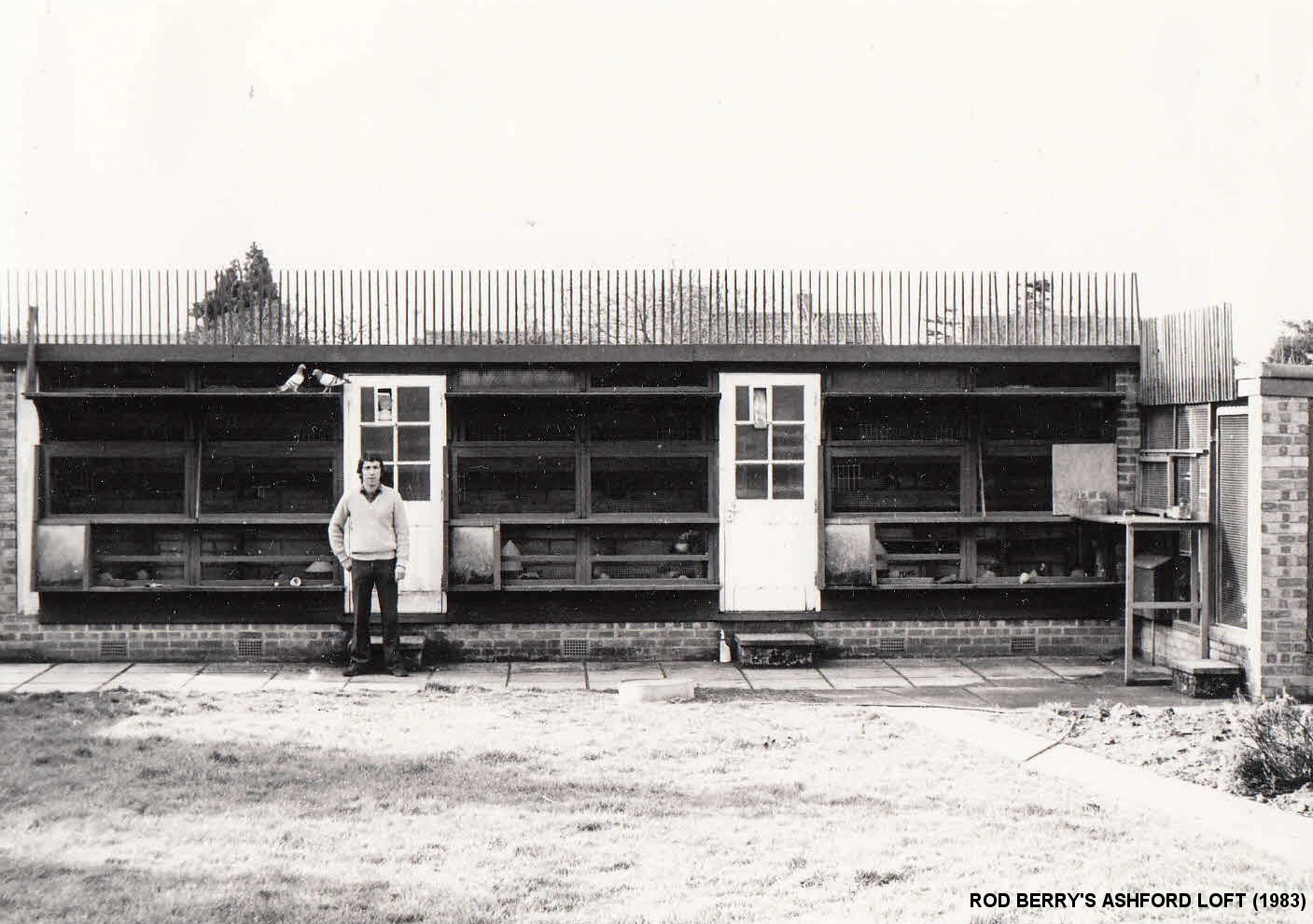 29I 19 11 21