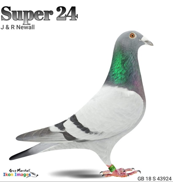 super 24 16 12 21