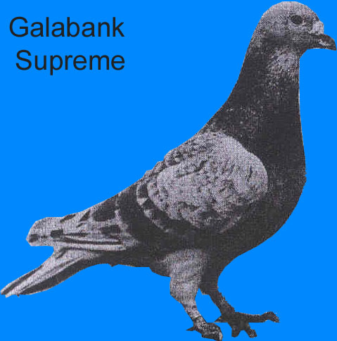 Galabank Supreme see text 1