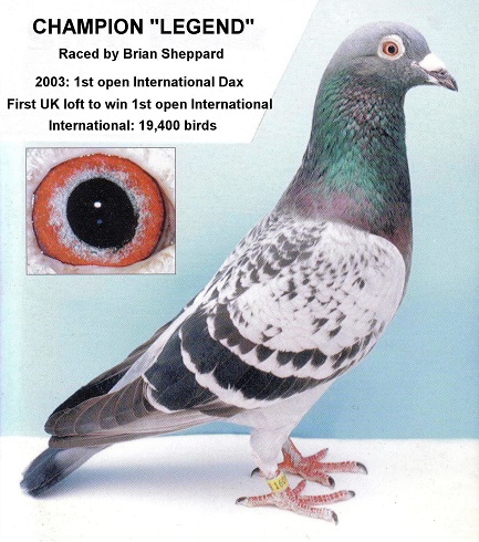 31C 24 03 22