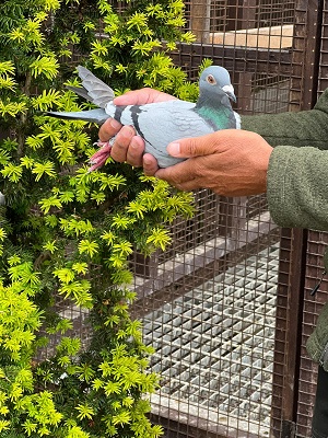 IMG 20220714 WA0036 18 07 22