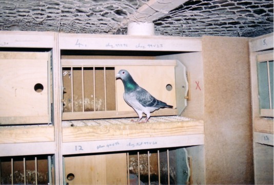 Picture2 18 10 22