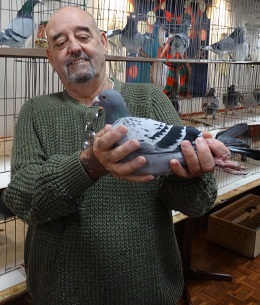 Dave Willis. 18 12 22
