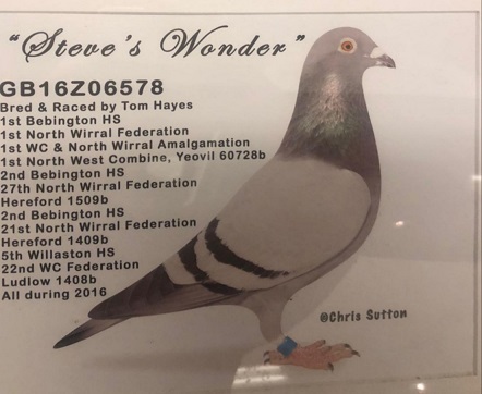 20230116 214017 18 01 23