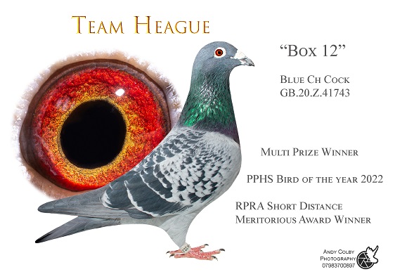 Box 12 RPRA Award winner 16 01 23