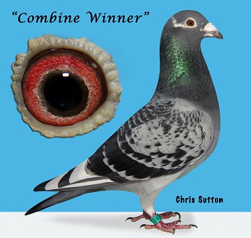 North West Combine Winner 16 01 23