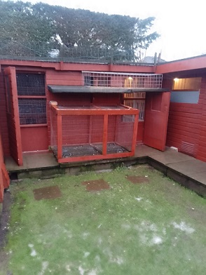 Young Bird Shed with the Aviery on wheels 18 01 23