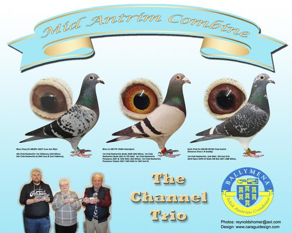 tweed montage 06 02 23