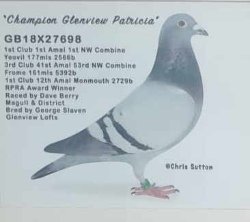 20230309 210346 19 04 23