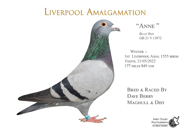 IMG 20230309 WA0037 19 04 23