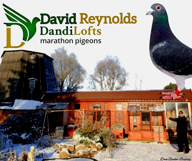 David Reynolds Story by Dave Bunker Brierley - 03-05-23