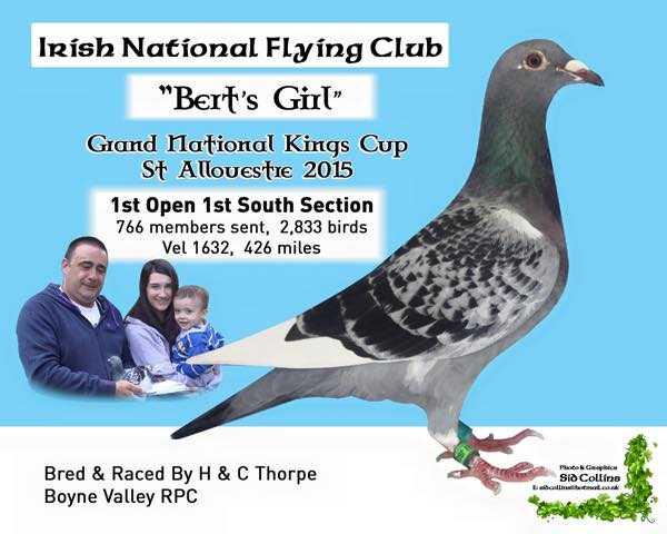1st kings cup bird 2015 03 07 23