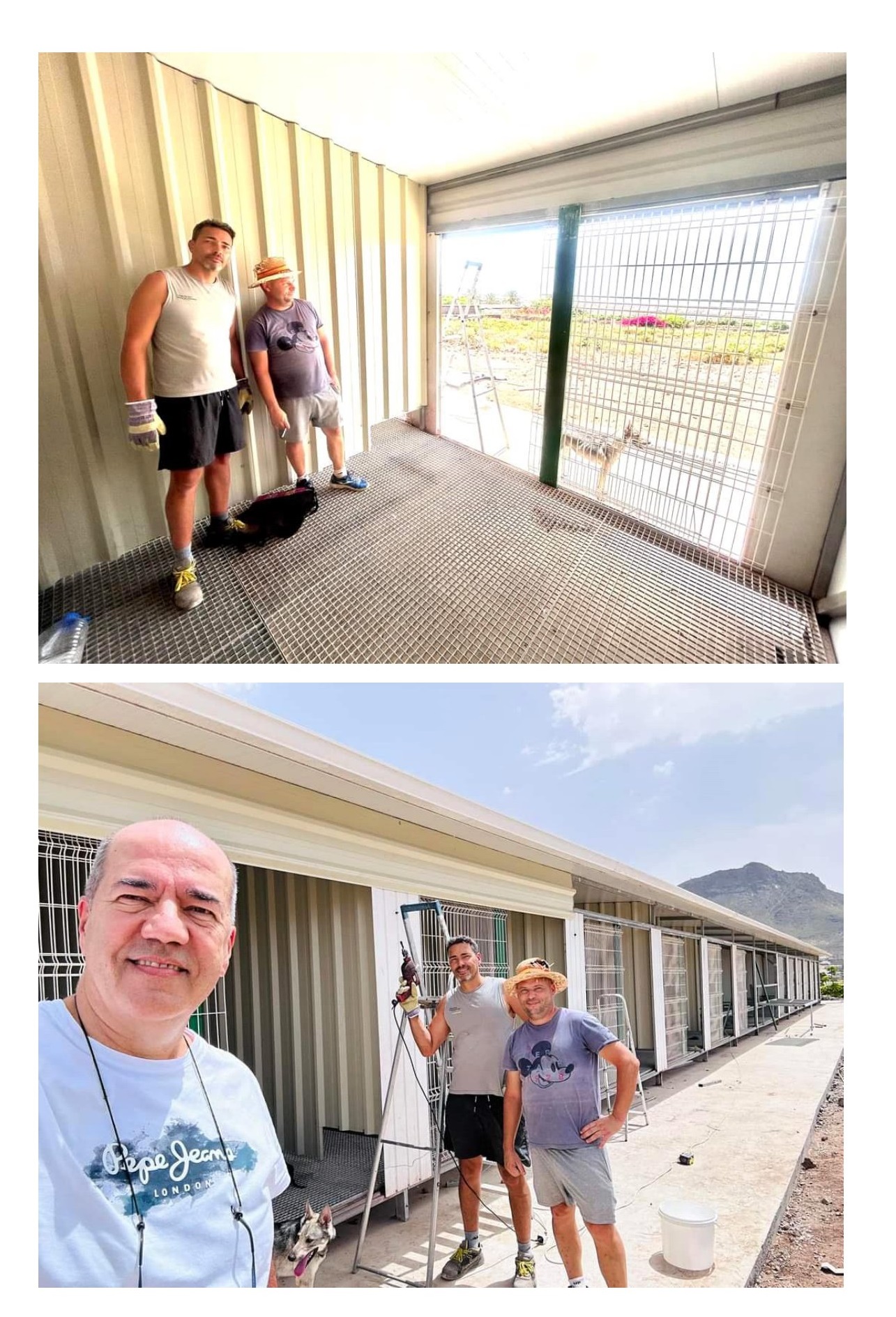 arona update 2 4
