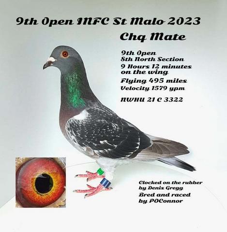 paul bird 9th 28 07 23A