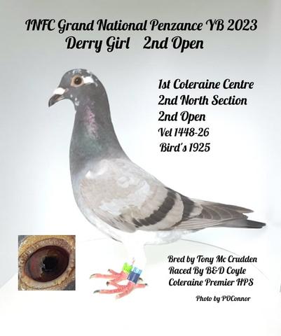 coyle bird 27 09 23z