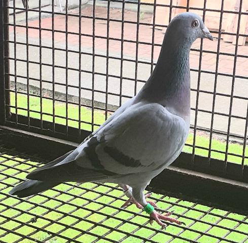 6th middle bird 09 10 23