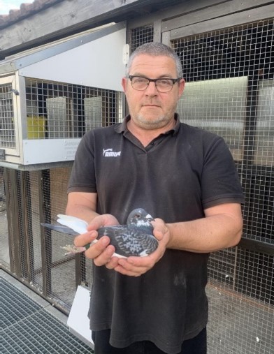 Picture4 Only eleven pigeons in the top twenty for Laindons Eddie Butcher
