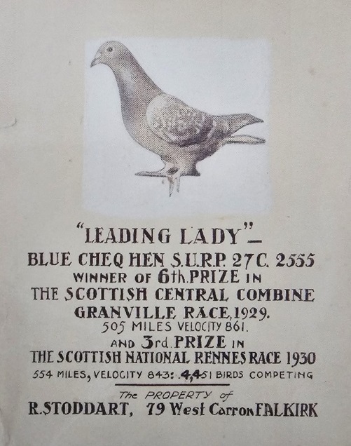 Leading Lady 28 05 24x