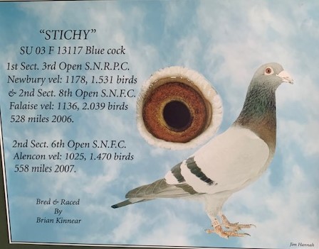 Stichy 08 07 24b