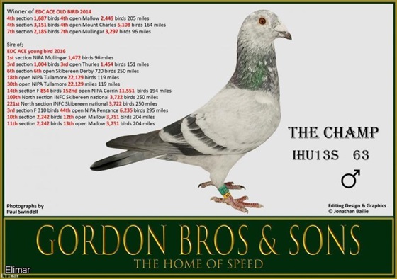 GORDON BROS THE CHAMP 08 08 24a