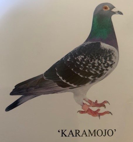 Karamojo see text 12 08 24a