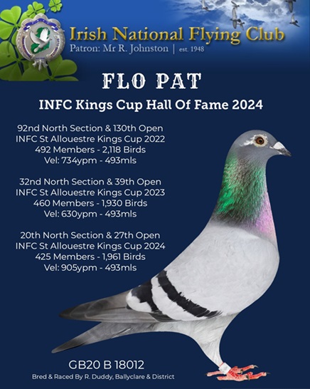 Duddy Flo Pat 18 12 24A