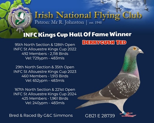 Simmons bird 18 12 24A