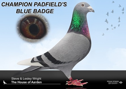BLUE BADGE 27 01 25b