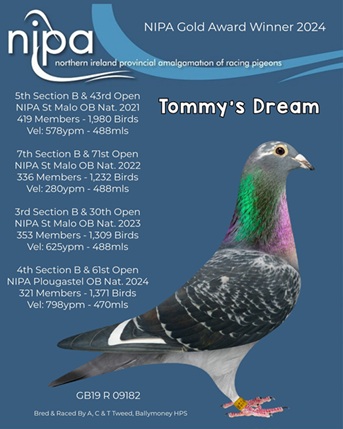tommys dream 13 03 25a