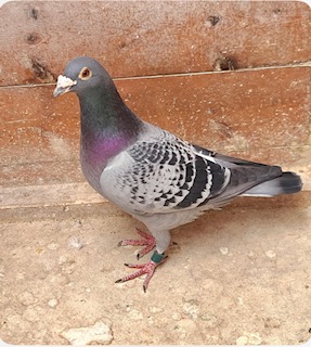 IMG 0903 27 05 25b