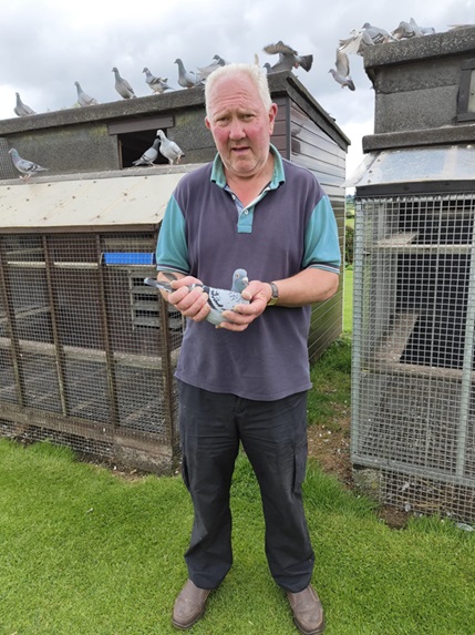 Arnold Thompson of Ballyclare. 1st National Winner from NIPA Plougastel OB French National from 1414 Birds 29 07 25z