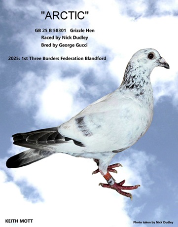 99B ARCTIC 14 08 25c
