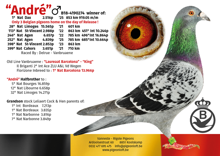 Andre 1Nat Dax Pigeonloft 08 06 25a