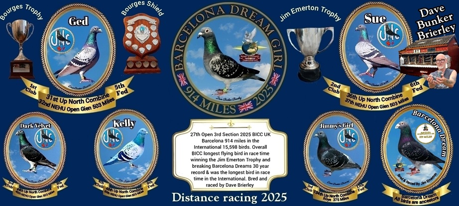 A small back garden loft with small team's results by Dave Bunker Brierley - 26-08-25