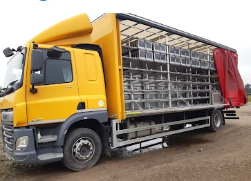 armstrong trans b 26 08 25a