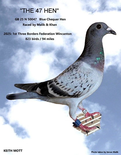 98B THE 47 HEN 04 09 25a