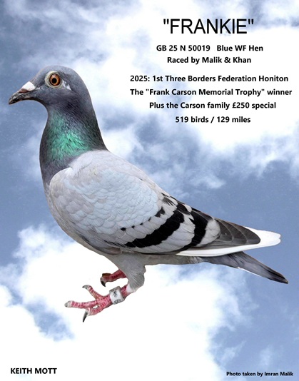 99B FRANKIE 11 09 25A