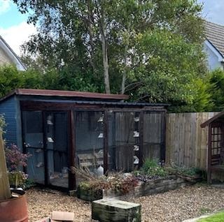 Stock section Andy Graham 25 09 25a