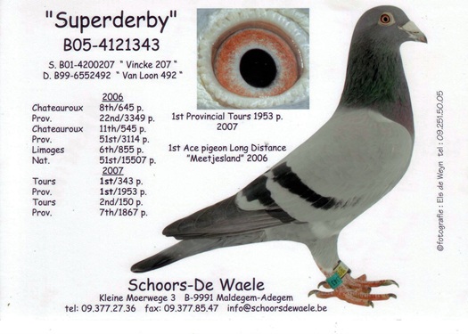 100D SUPERDERBY 02 10 25A