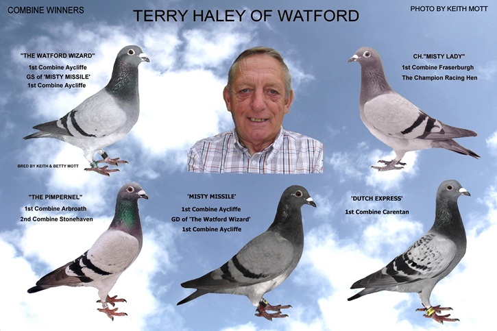 96D TERRY HALEY 30 10 25