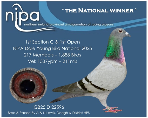 Lewis 1st Open bird 09 10 25b