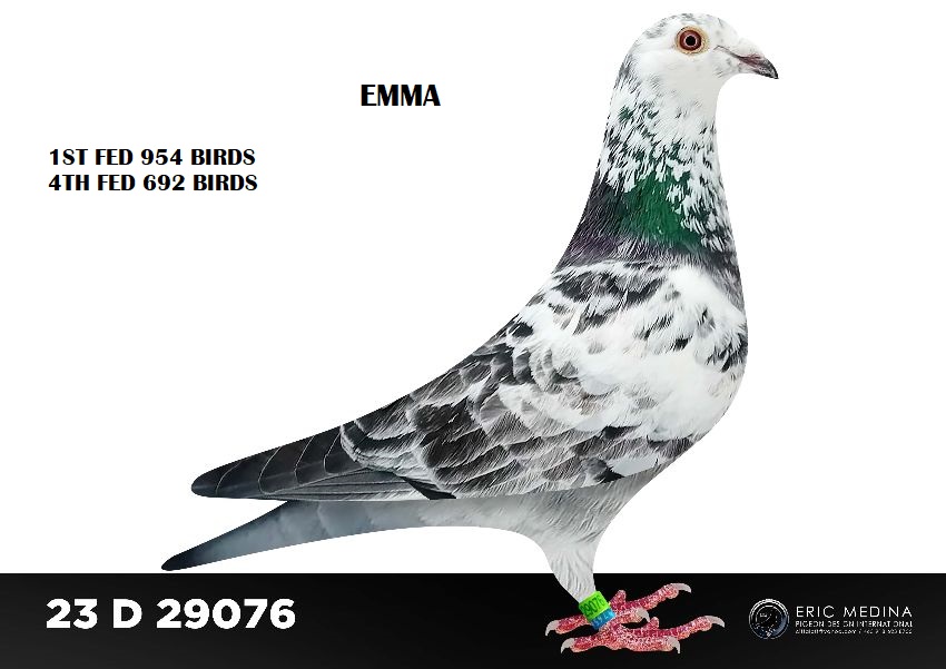 23 D 29076 12 11 25a