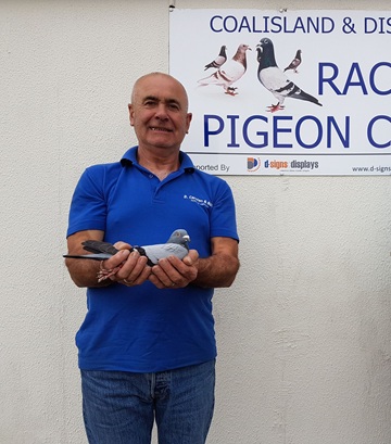danny carolan 05 11 25